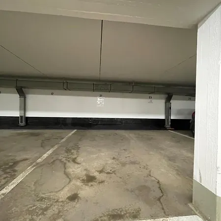 Apartament Gemuetliches Chalet-apartment Harzglueck Am Fuss Des Berges *