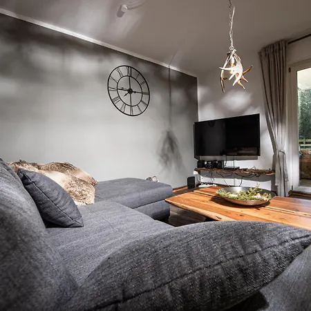Gemuetliches Chalet-apartment Harzglueck Am Fuss Des Berges Lejlighed