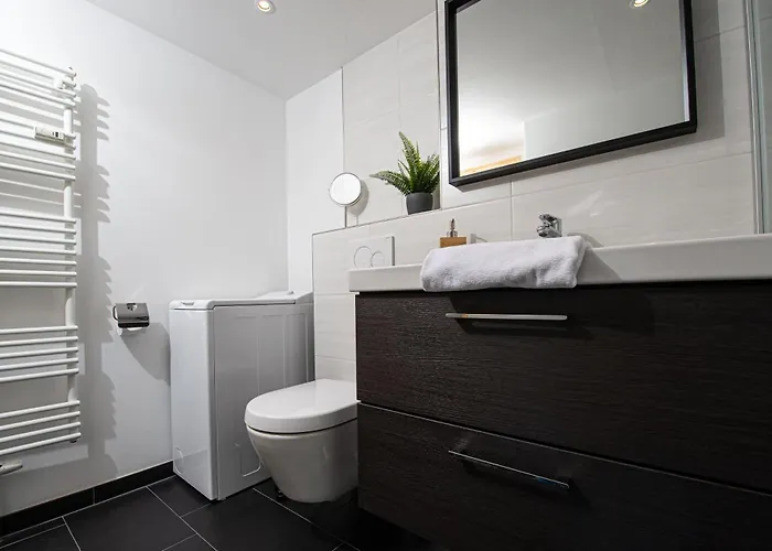 Gemuetliches Chalet-apartment Harzglueck Am Fuss Des Berges 公寓 *