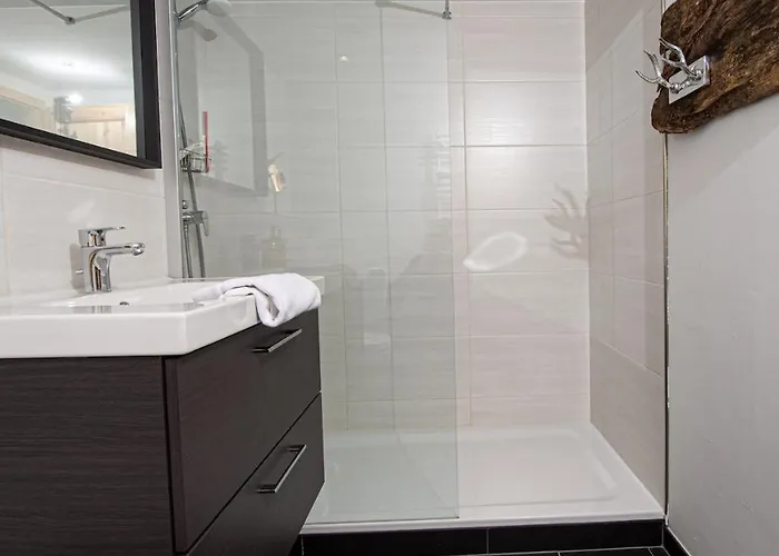 Gemuetliches Chalet-apartment Harzglueck Am Fuss Des Berges 公寓 *