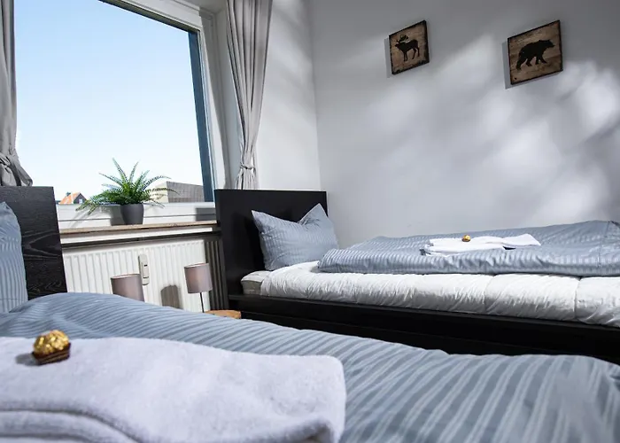 Gemuetliches Chalet-apartment Harzglueck Am Fuss Des Berges 戈斯拉尔