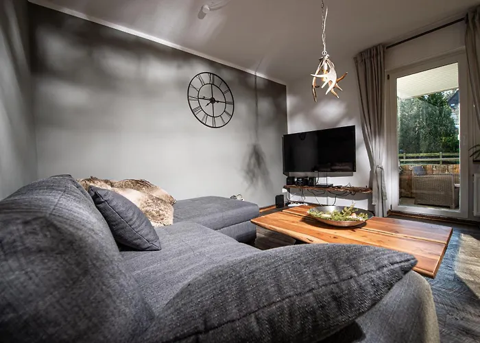 Gemuetliches Chalet-apartment Harzglueck Am Fuss Des Berges 公寓